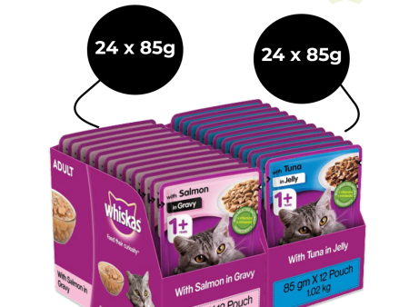 Whiskas Tuna in Jelly Meal and Salmon in Gravy Meal Adult Cat Wet Food Combo For Sale