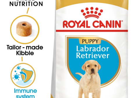 Royal Canin Labrador Retriever Puppy Dog Dry Food For Cheap