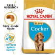 Royal Canin Cocker Spaniel Puppy Dog Dry Food Supply