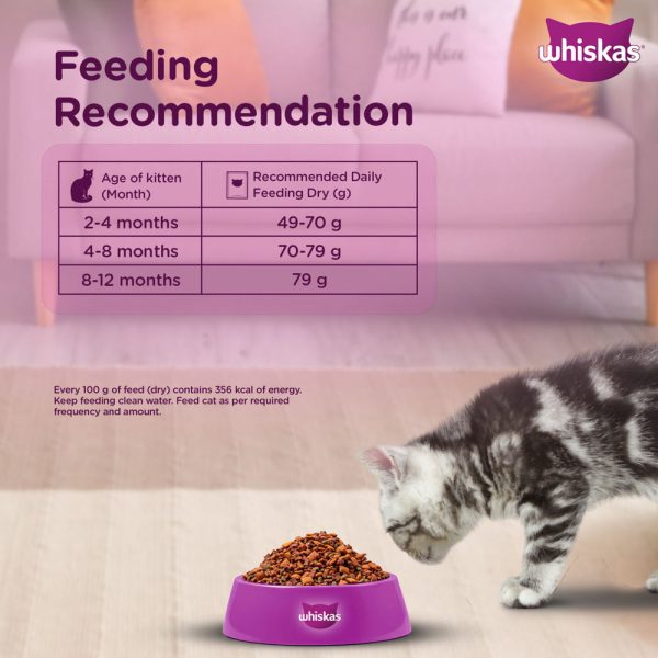 Whiskas Ocean Fish Kitten Cat Dry Food For Cheap