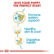 Royal Canin Cocker Spaniel Puppy Dog Dry Food Supply