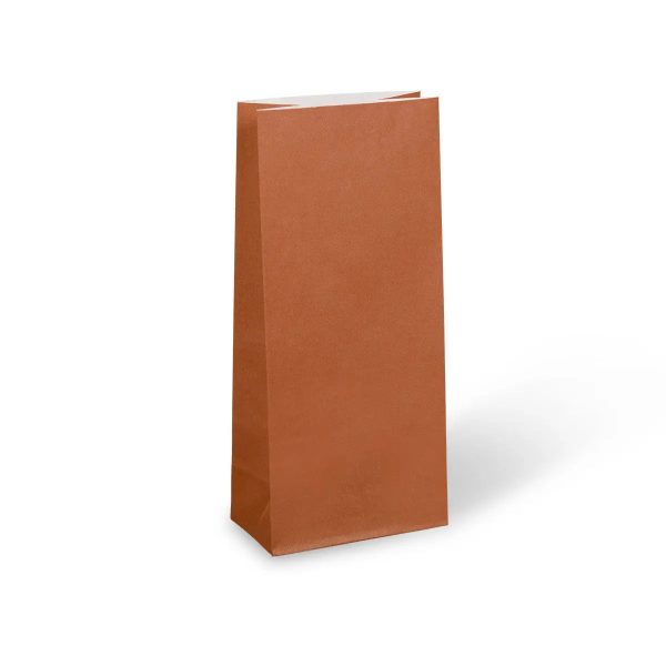 Earth Collection Burnt Orange Paper Party Bags 22cm x 10cm - Packet of 12 For Sale