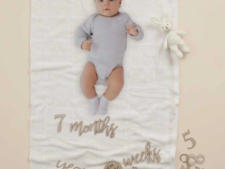 Ginger Ray Wooden Pregnancy & Baby Milestone Signs Online