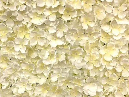 Cream Petal Flower Wall Hire Discount