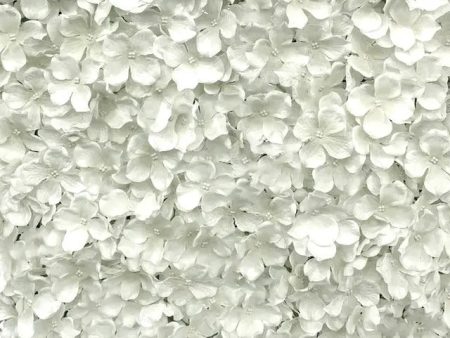 White Petal Flower Wall Hire For Sale