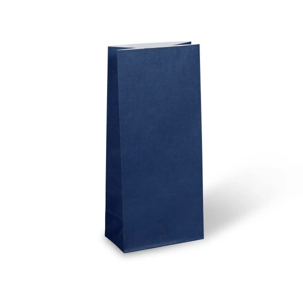 Earth Collection Navy Paper Party Bags 22cm x 10cm - Packet of 12 Supply