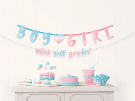 The Big Reveal Banner Kit For Discount