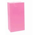 Bright Pink Party Bags 13cm x 25cm - 12 Pkt on Sale