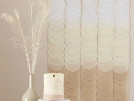 Ginger Ray Neutral Ombre Tissue Paper Disc Party Backdrop For Sale