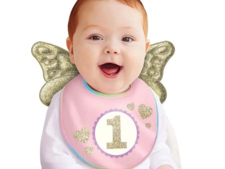 Winged Pink 1st Birthday Bib Online