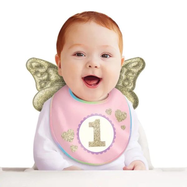 Winged Pink 1st Birthday Bib Online