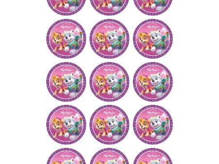 Paw Patrol Girls Edible Cupcake Images Cheap